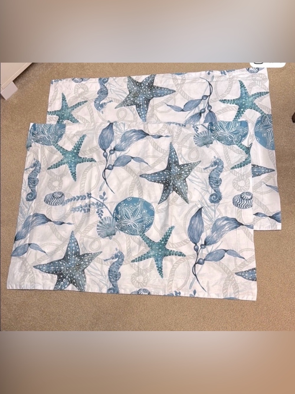 Two queen size pillow shams from pottery barn